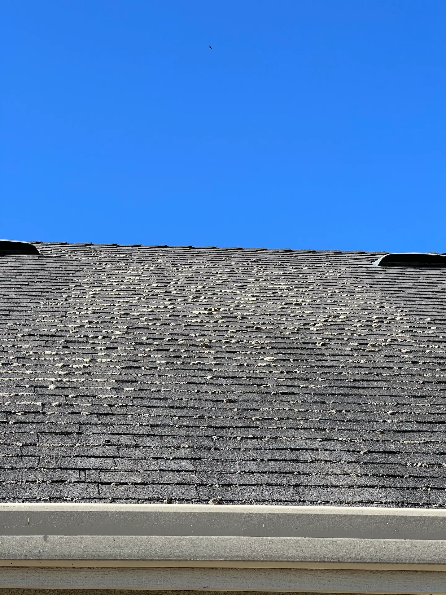 roof cleaning redding ca killed moss