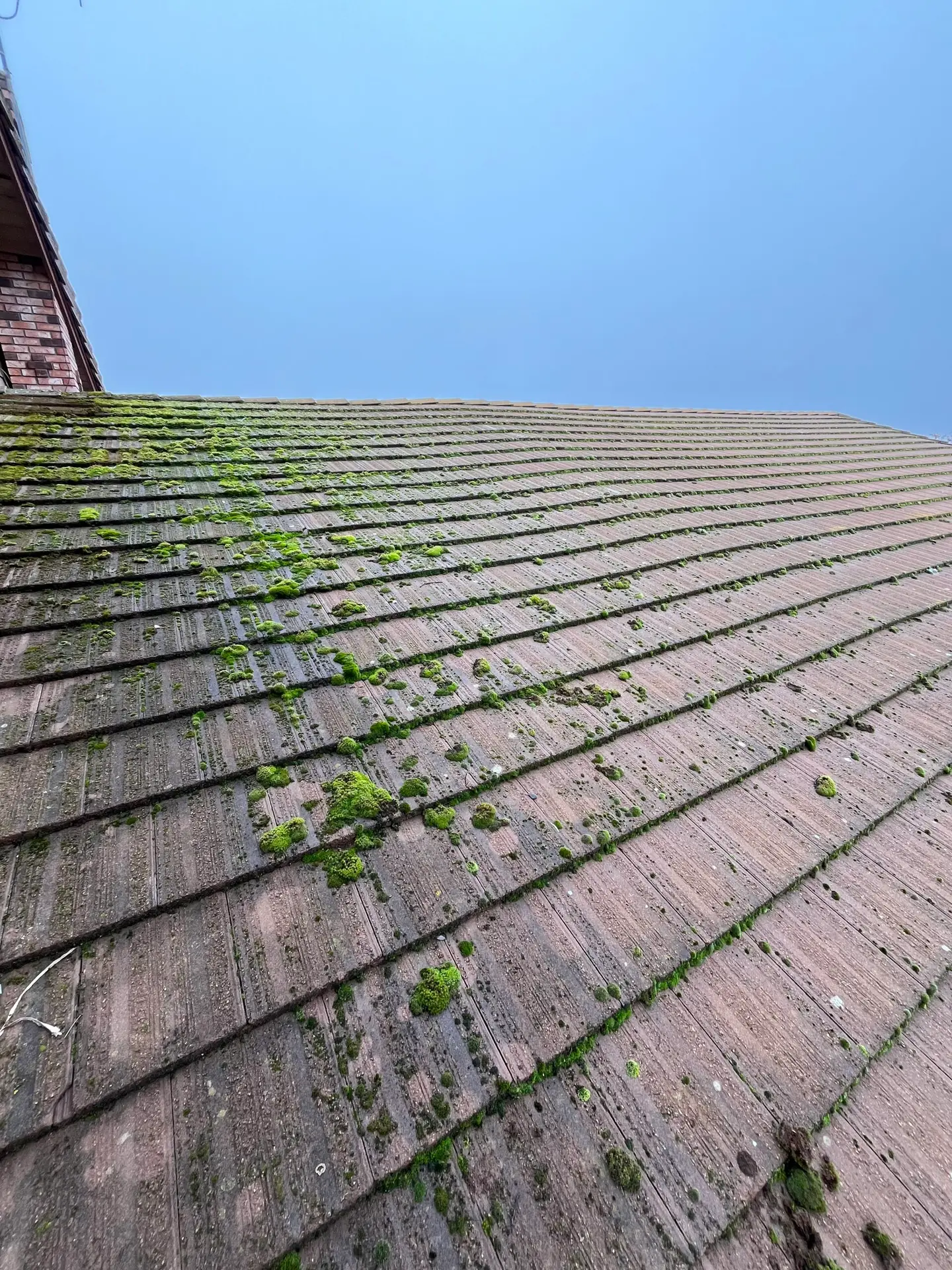 roof cleaning redding ca before